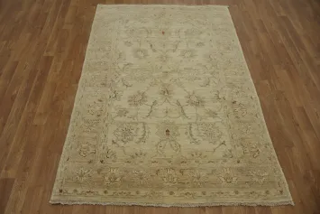 Intricate Patterned Traditional Oriental Ziegler Area Rug 4x6