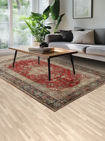 Vintage-Inspired Joshaghan Persian Area Rug 5x9