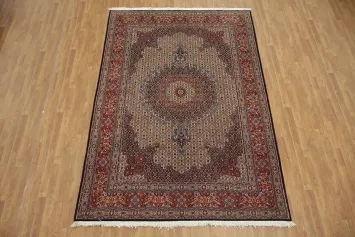 Exquisite Ornamental Vegetable Dye Mood Persian Area Rug 7x10
