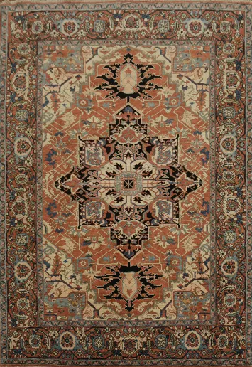 Traditional Vegetable-Dye Heriz-Serapi Persian Area Rug 6x9