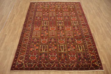 Elegant eastern Bakhtiari Persian Area Rug 7x10