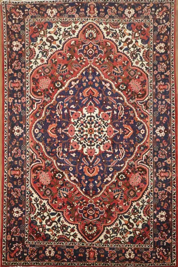 Stylish Traditional Bakhtiari Persian Area Rug 7x10
