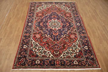Stylish Traditional Bakhtiari Persian Area Rug 7x10