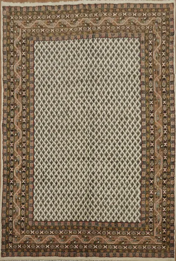 Elegant Traditional Botemir Persian Area Rug 6x9