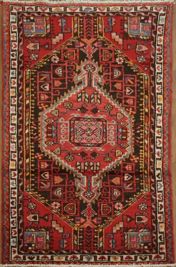 Vintage-Inspired Hamedan Persian Rug 3x4