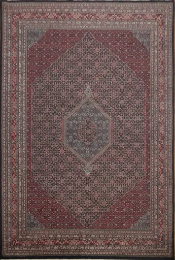 Authentic Over Siza Bidjar Oriental Large Rug 12x18