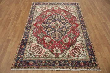 Traditional Elegance: Tabriz Persian Rug 4x7