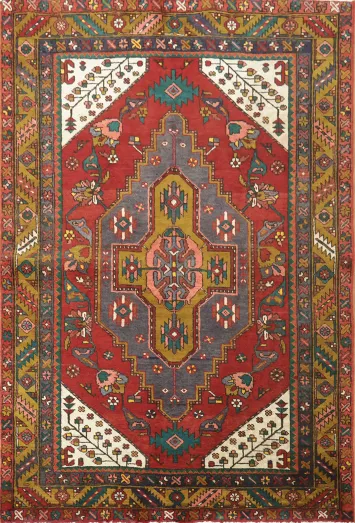 Traditional Decorative Hamedan Persian Rug 4x6