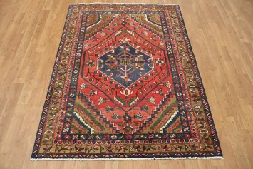 Vibrant Tribal Hamedan Persian Rug 4x6