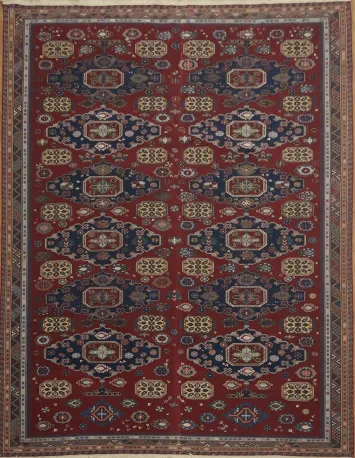 Elegant Traditional Oriental Sumak Area Rug 9x12