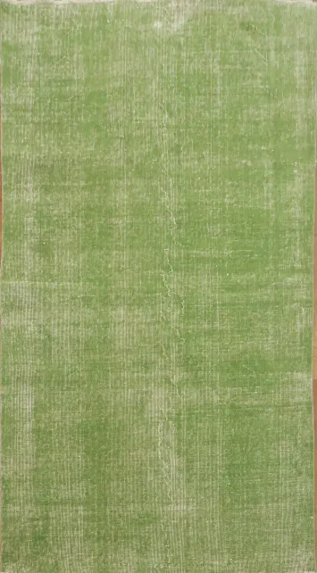 Green Distressed Over-Dyed Vintage Rug 4x7