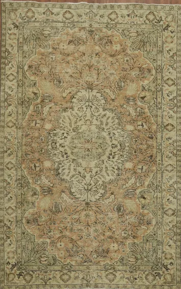Traditional Anatolian Oriental Area Rug 6x9