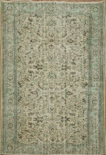 Distressed Oriental Anatolian Oriental Area Rug 6x9