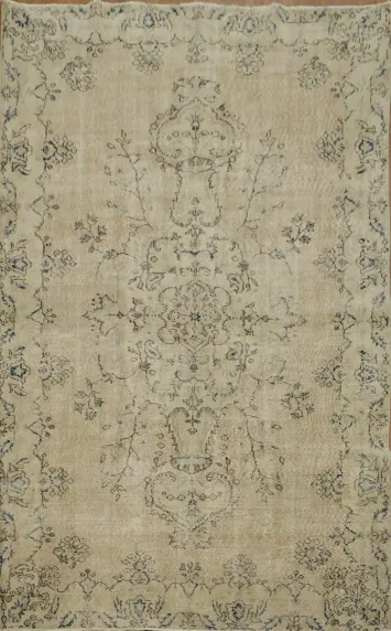 Chic Beige Anatolian Oriental Area Rug 6x9
