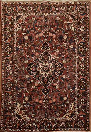 Timeless Hand-Knotted Bakhtiari Persian Area Rug 7x10