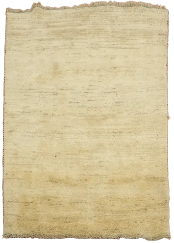 Solid Modern 3x5 Gabbeh Shiraz Persian Area Rug