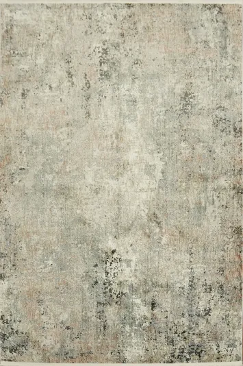 Elegant Vintage Style Rug with Distressed Neutral Tones 5x8