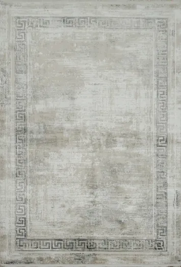 Distressed Gray Rug with Border Design 5x8