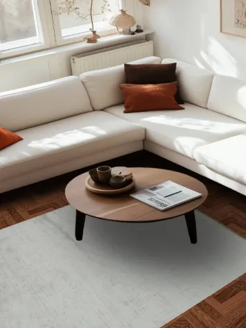 Luxurious Silver Gray Rug Enhances Minimalist Home Aesthetic 5x8