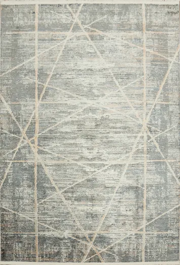 Contemporary Gray Rug with Striking Abstract Line Design 5x8