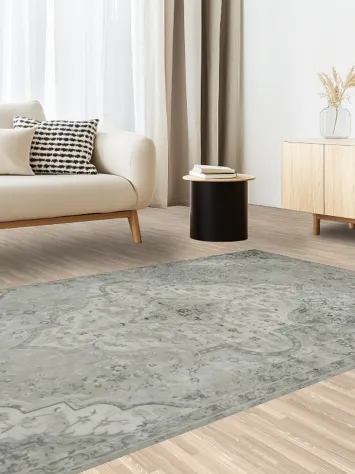 Luxurious Area Rug with Subtle Hues and Ornate Details 5x8