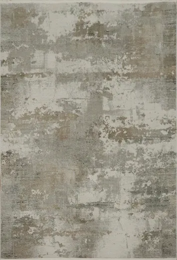 Elegant Distressed Pattern Rug for Contemporary Living Rooms 5x8