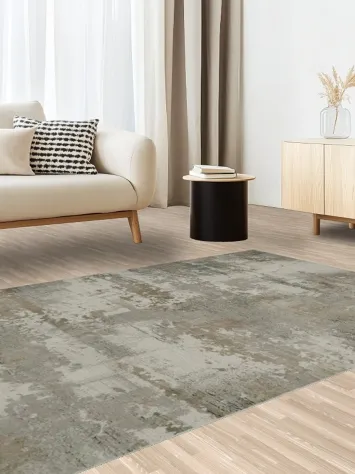 Elegant Distressed Pattern Rug for Contemporary Living Rooms 5x8