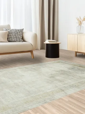 Modern Neutral Tone Area Rug with Classical Border 5x8