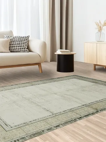 Elegant Neutral Rug with Intricate Border Design 5x8
