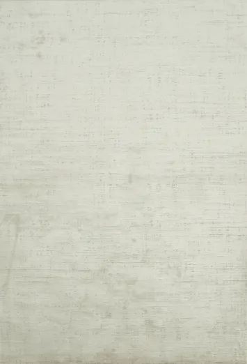 Soft Neutral Tone Rug Perfect for Any Living Space 5x8