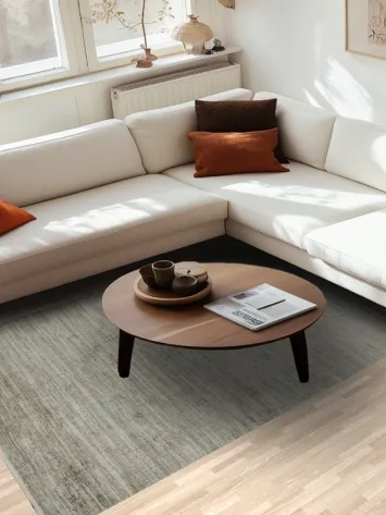 Luxurious Minimalist Rug for Modern Home Interiors 5x8