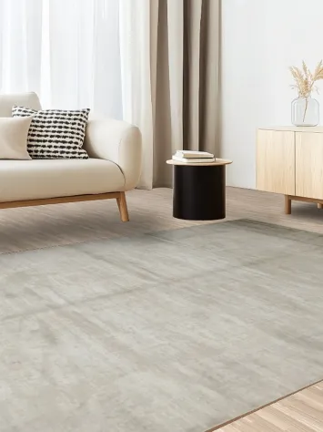 Elegant Beige Area Rug for Modern Minimalist Interiors 6x10