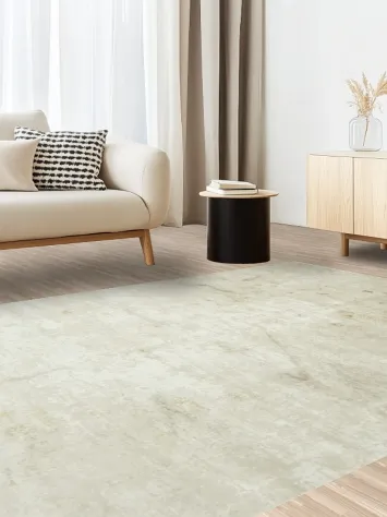 Elegant beige area rug enhances modern minimalist spaces 6x10