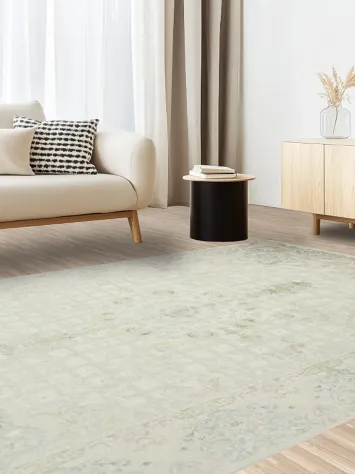 Ornate rug with soft muted tones for a serene living space 6x10