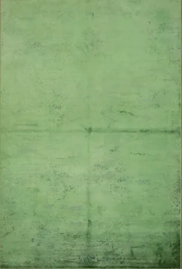 Sophisticated Green Rug Bringing Serene Elegance to Any Room 5x8