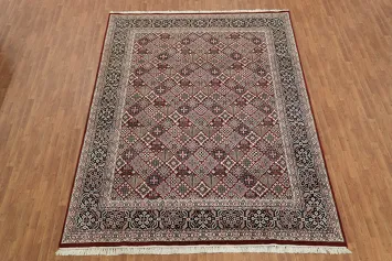Najafabad Oriental Area Rug 9x12
