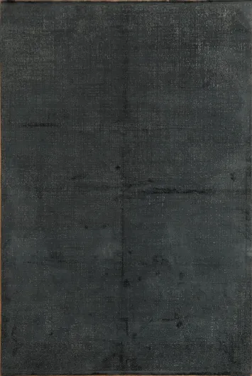 Sleek Fiber Rug for a Contemporary Home Look 6x10