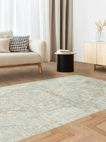 Chic Distressed Area Rug Perfect for a Cozy Home Look 5x8