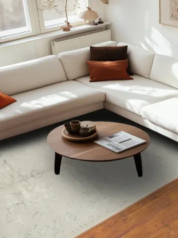 Chic and Neutral Area Rug for Any Room Décor 7x10