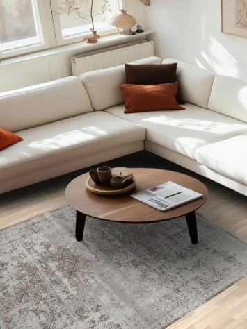 Timeless Neutral Gray Rug to Enhance Your Living Space 5x7