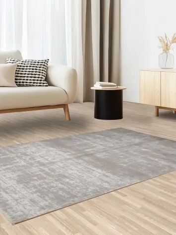 Elegant Gray Rug with a Softer Distressed Pattern 4x6