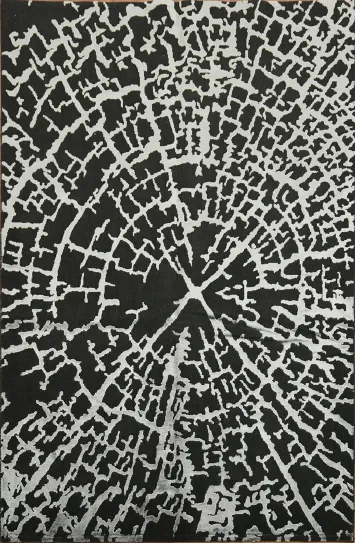 Contemporary Black and Silver Rug with Organic Design 6x10