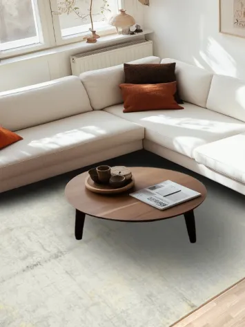 Modern Minimalist Beige and Grey Distressed Area Rug