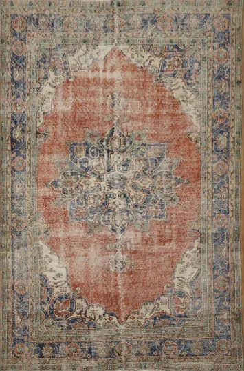 Classic Ornate Medallion Rug with Intricate Border Details 6x10