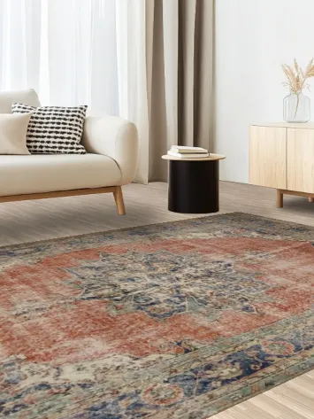 Classic Ornate Medallion Rug with Intricate Border Details 6x10