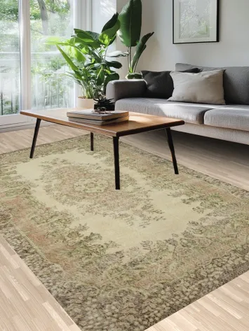 Exquisite Vintage Floral Rug for Elegant Living Spaces Decor 6x9