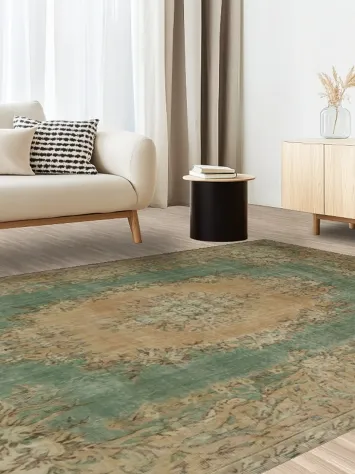 Rustic Charm Distressed Green and Beige Rug Design 7x10