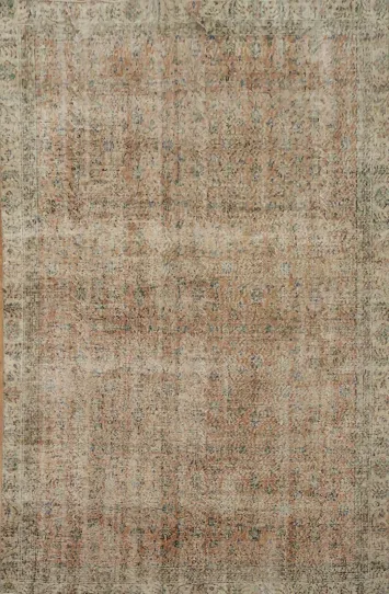 Vintage Charm: Distressed Exquisite Area Rug 6x9