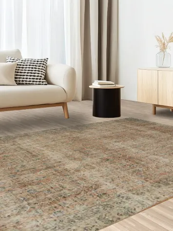 Vintage Charm: Distressed Exquisite Area Rug 6x9