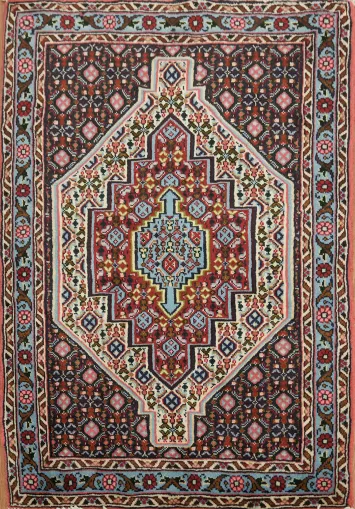 Geometric Wool Bidjar Persian Rug 3x4